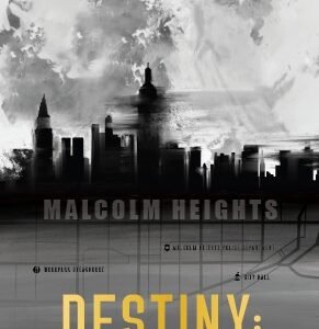 Destiny: A Brother’s Love